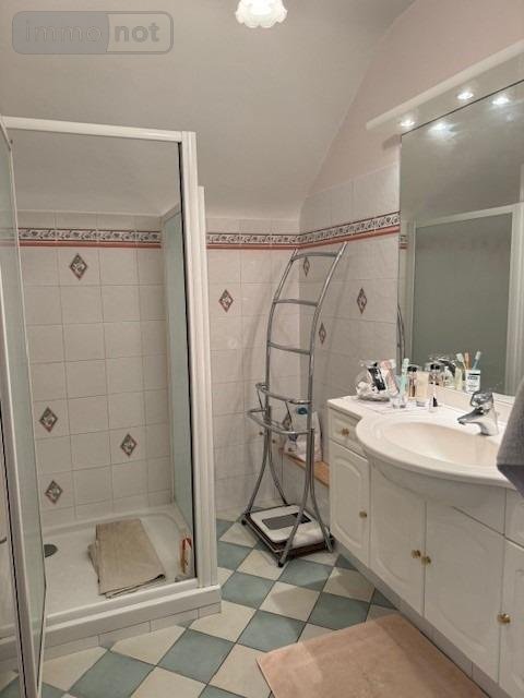 Maison a vendre Saint-Ouen 41100 Loir-et-Cher 200 m2 6 pièces 342870 euros