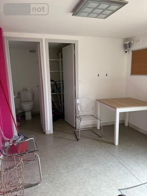 Maison a vendre Saint-Ouen 41100 Loir-et-Cher 200 m2 6 pièces 342870 euros
