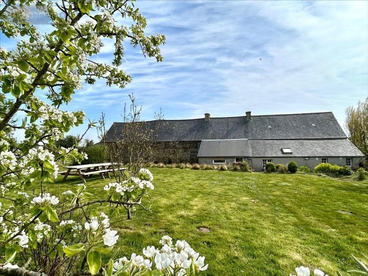 Maison a vendre Barneville-Carteret 50270 Manche 136 m2 6 pièces 441120 euros