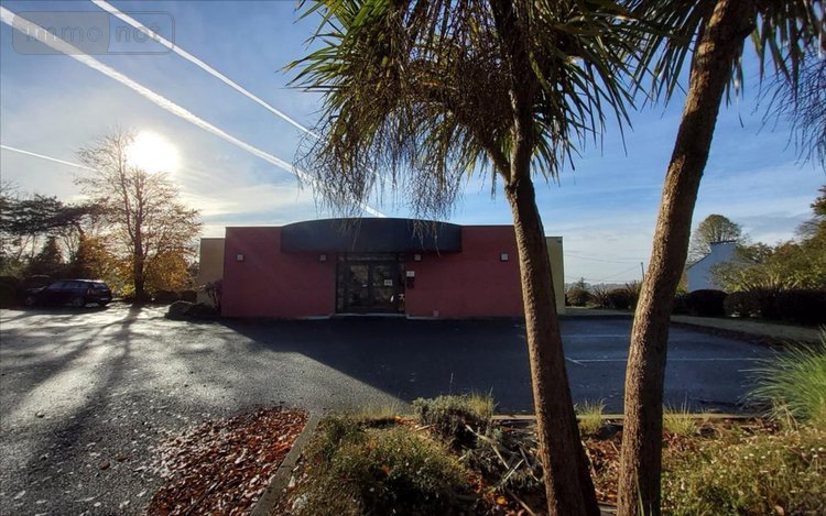 Immeuble a vendre Carhaix-Plouguer 29270 Finistère 167 m2  420000 euros