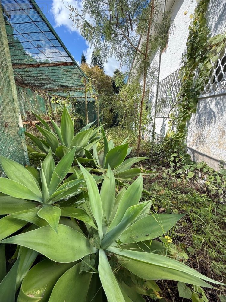 Maison a vendre Entre-Deux 97414 Réunion 63 m2 4 pièces 313500 euros