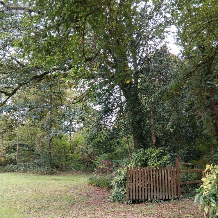 Maison a vendre Plonévez-du-Faou 29530 Finistère 80 m2 5 pièces 184625 euros