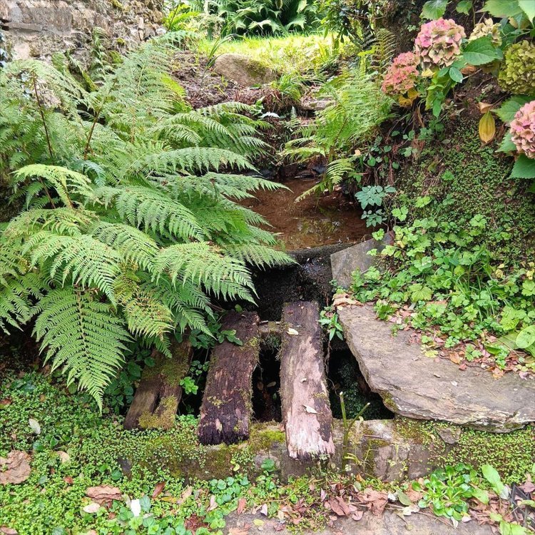 Maison a vendre Plonévez-du-Faou 29530 Finistère 80 m2 5 pièces 184625 euros