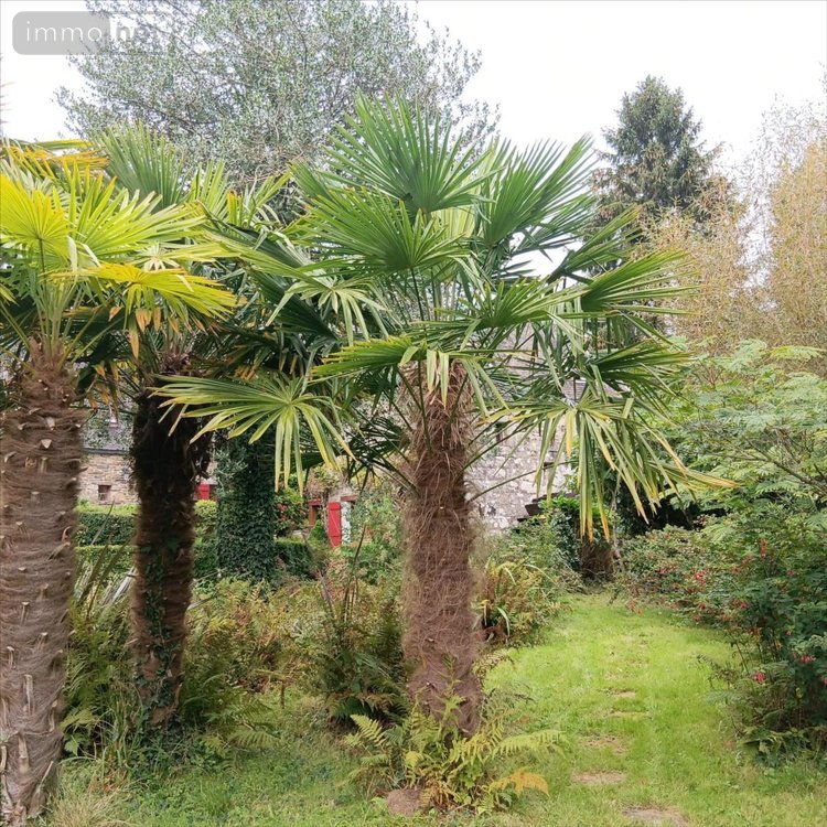 Maison a vendre Plonévez-du-Faou 29530 Finistère 80 m2 5 pièces 184625 euros