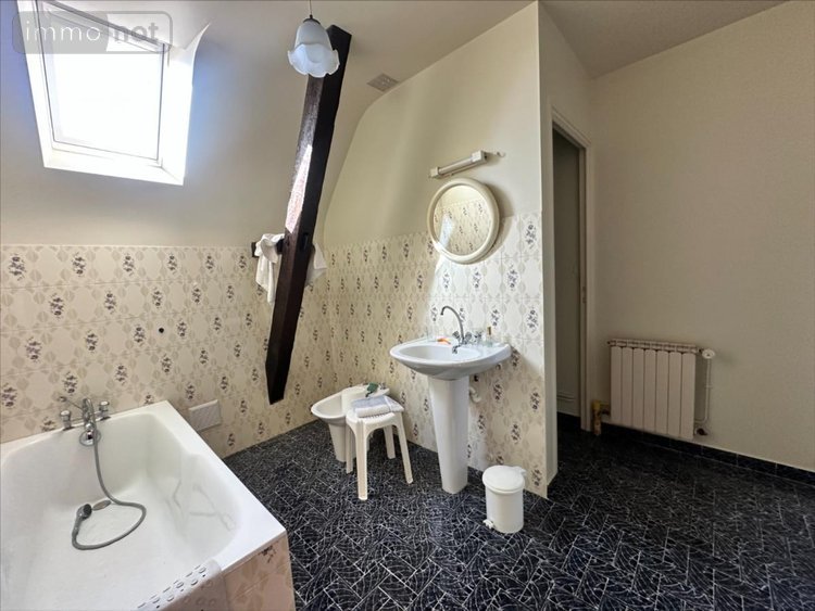 Maison a vendre Noyant-de-Touraine 37800 Indre-et-Loire 120 m2 7 pièces 501300 euros