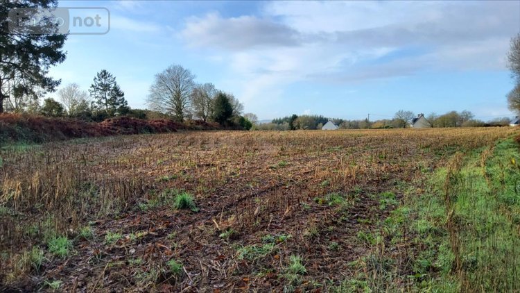 Terrain a batir a vendre Cléden-Poher 29270 Finistère 7243 m2  53235 euros
