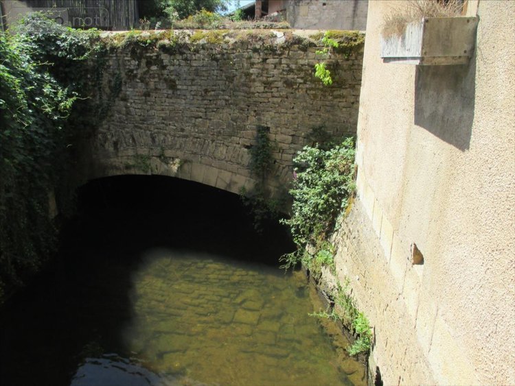 Maison a vendre Faverney 70160 Haute-Saône 300 m2 11 pièces 81000 euros