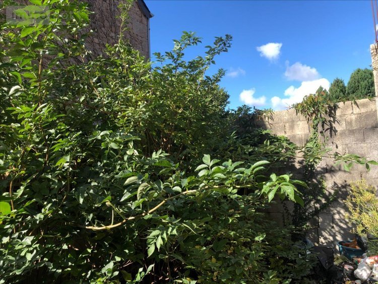 Maison a vendre Montfarville 50760 Manche 40 m2 3 pièces 79040 euros