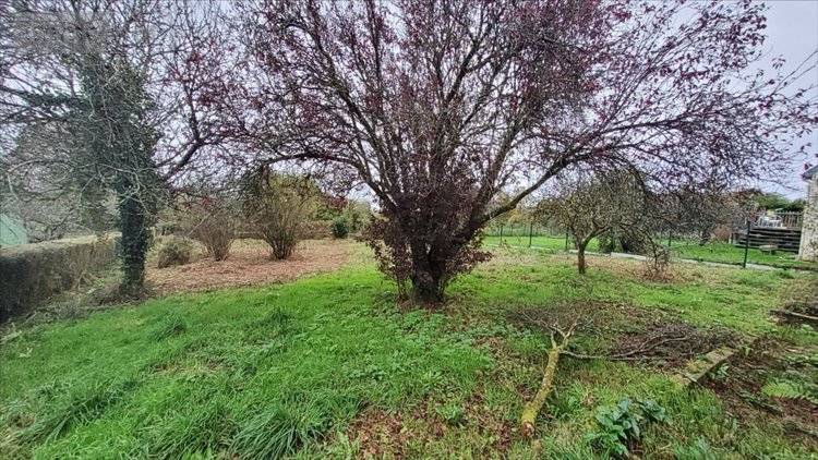 Maison a vendre Scrignac 29640 Finistère 98 m2 6 pièces 47500 euros