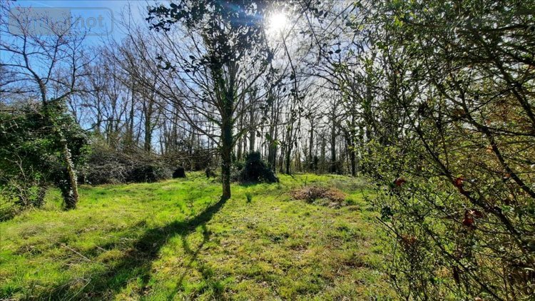 Maison a vendre Commune non précisée 36 Indre 240 m2 10 pièces 213000 euros