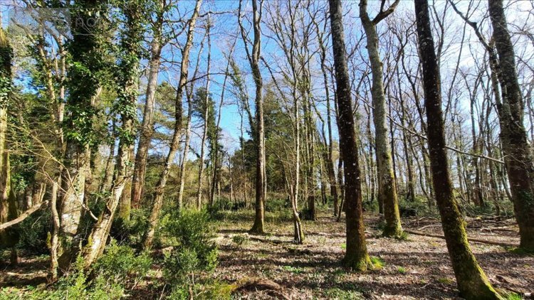 Maison a vendre Commune non précisée 36 Indre 240 m2 10 pièces 213000 euros