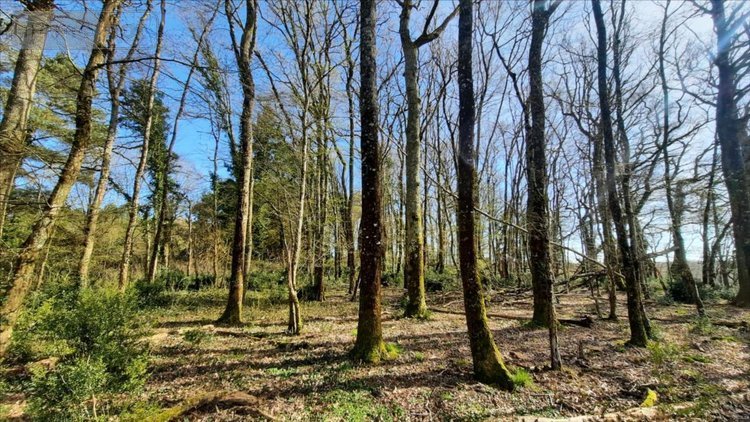 Maison a vendre Commune non précisée 36 Indre 240 m2 10 pièces 213000 euros