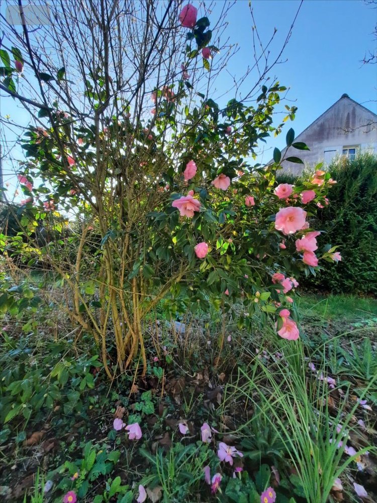 Maison a vendre Écueillé 36240 Indre 110 m2 5 pièces 96750 euros