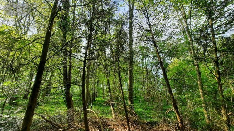 Bien agricole a vendre Levroux 36110 Indre  3294000 euros