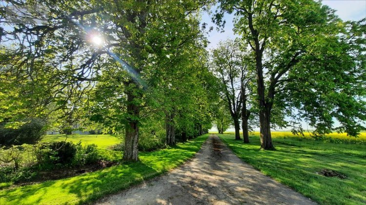 Bien agricole a vendre Levroux 36110 Indre  3294000 euros