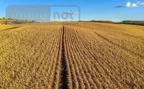 Bien agricole a vendre Levroux 36110 Indre  3294000 euros