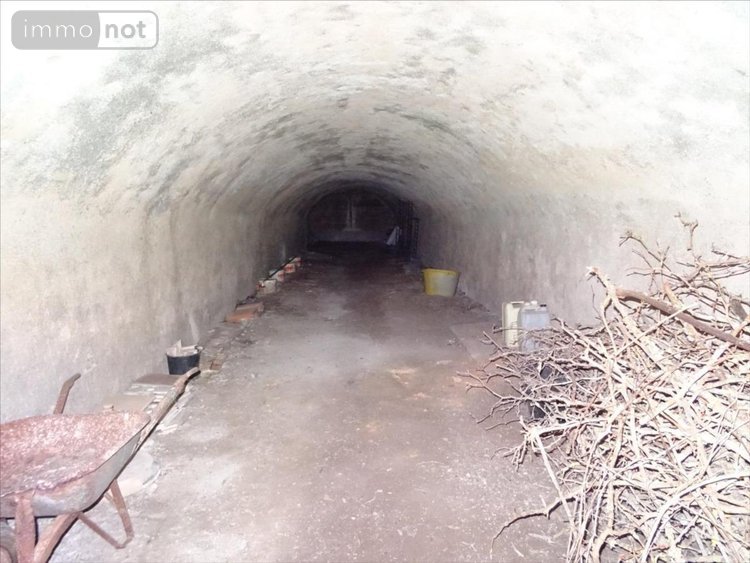 Maison a vendre Meung-sur-Loire 45130 Loiret 109 m2 5 pièces 261400 euros