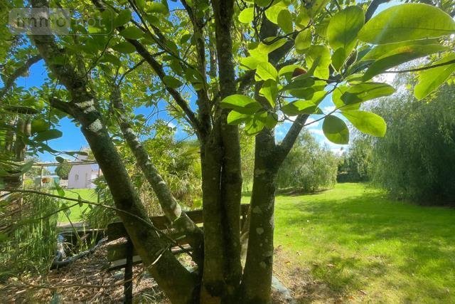 Maison a vendre Locmaria-Plouzané 29280 Finistère 144 m2 8 pièces 496000 euros