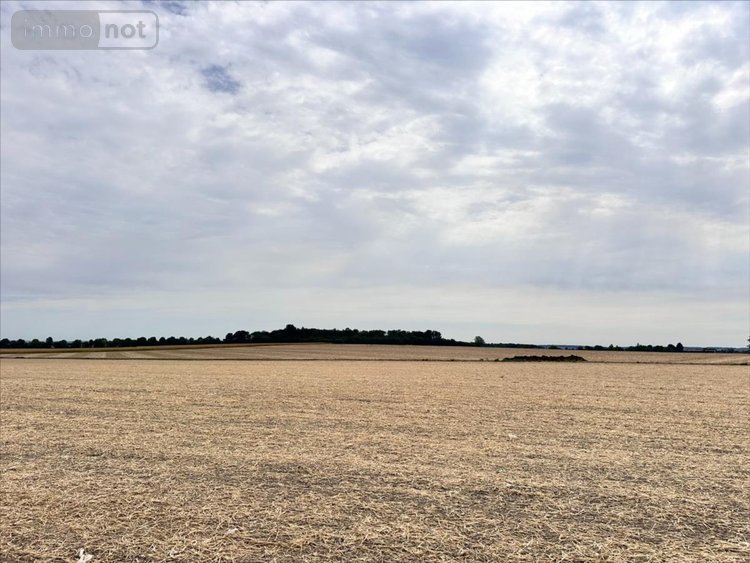 Maison a vendre Prinçay 86420 Vienne 90 m2 3 pièces 105300 euros