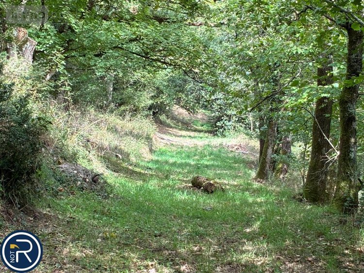 Maison a vendre Argentré 53210 Mayenne 287 m2  322400 euros