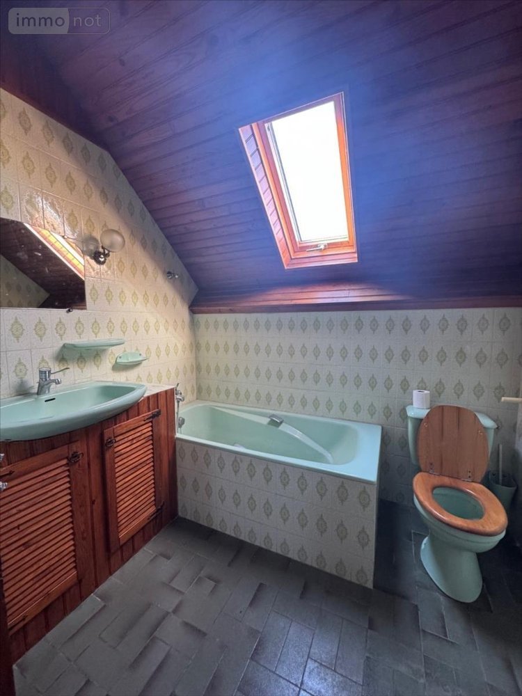 Maison a vendre Dadonville 45300 Loiret 165 m2 5 pièces 220000 euros