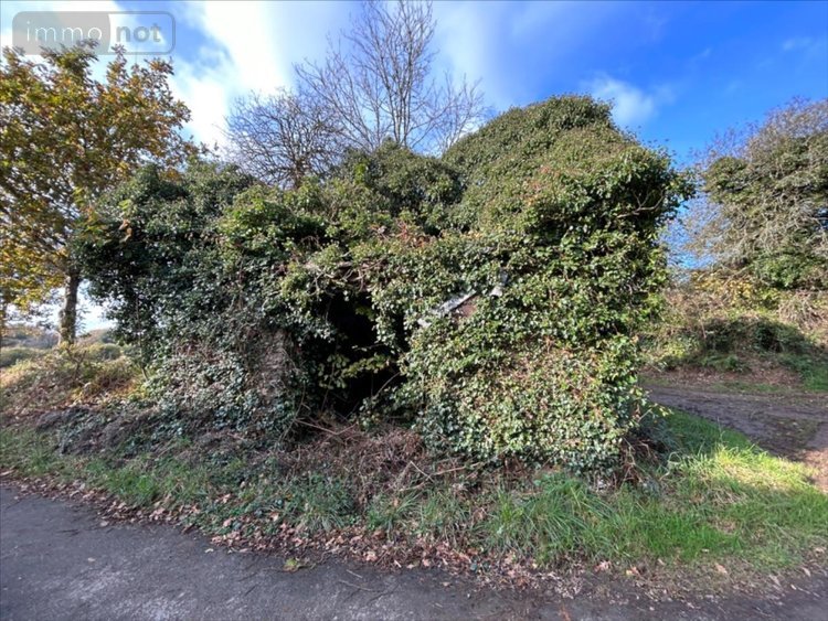 Maison a vendre Plouyé 29690 Finistère 37 m2 2 pièces 27500 euros