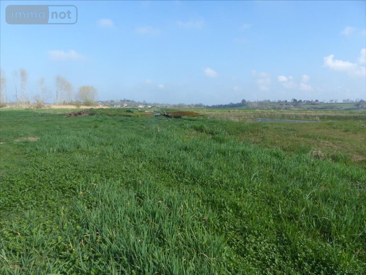 Terrains de loisirs bois etangs a vendre Saint-André-de-Bohon 50500 Manche 29045 m2  74320 euros