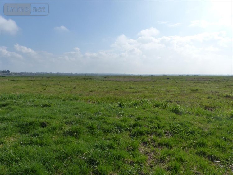 Terrains de loisirs bois etangs a vendre Saint-André-de-Bohon 50500 Manche 29045 m2  74320 euros