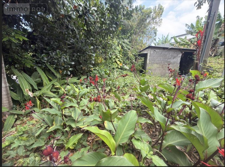 Maison a vendre Saint-Joseph 97480 Réunion 60 m2 4 pièces 200000 euros