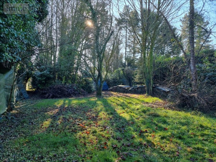 Terrain a batir a vendre Treffrin 22340 Côtes-d'Armor 1054 m2  20500 euros