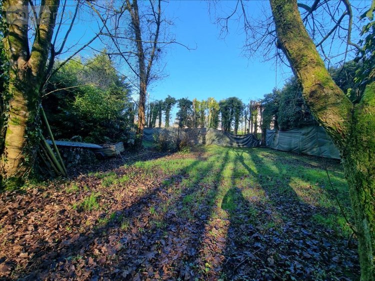 Terrain a batir a vendre Treffrin 22340 Côtes-d'Armor 1054 m2  20500 euros
