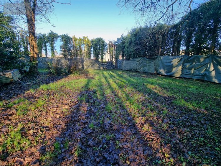 Terrain a batir a vendre Treffrin 22340 Côtes-d'Armor 1054 m2  20500 euros