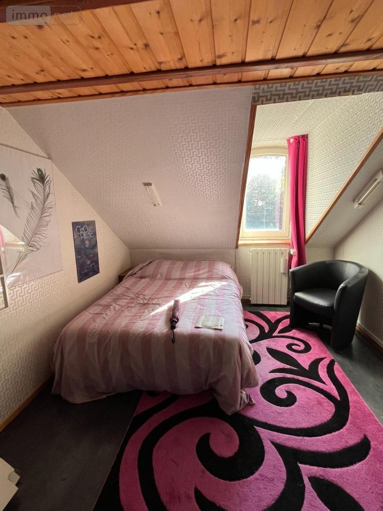 Immeuble a vendre Dole 39100 Jura 265 m2  265000 euros