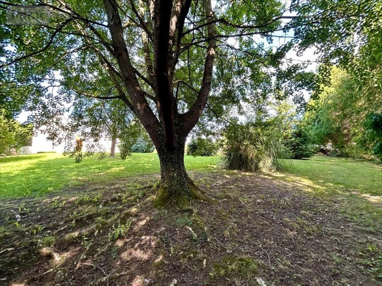 Maison a vendre Saint-Sauveur-le-Vicomte 50390 Manche 121 m2 8 pièces 219992 euros