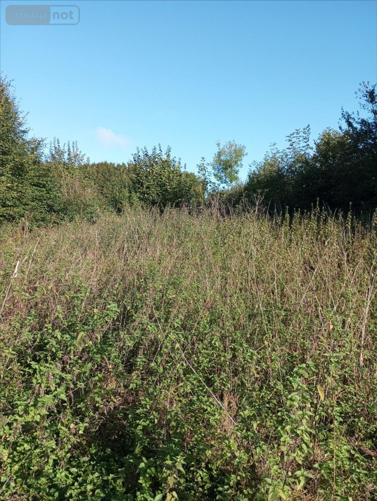 Maison a vendre Buironfosse 02620 Aisne 80 m2 4 pièces 74200 euros