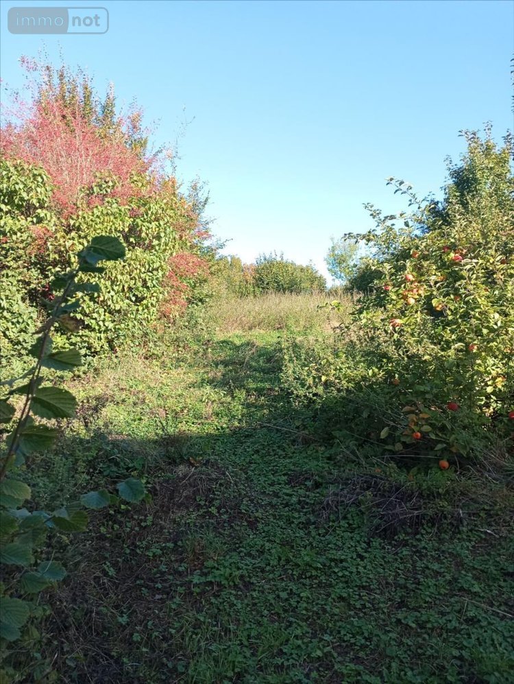 Maison a vendre Buironfosse 02620 Aisne 80 m2 4 pièces 74200 euros