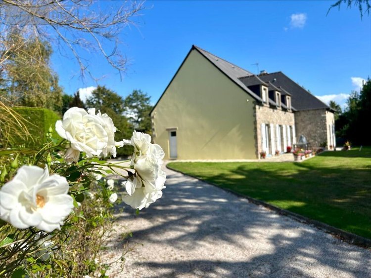 Maison a vendre Martinvast 50690 Manche 219 m2 7 pièces 420160 euros