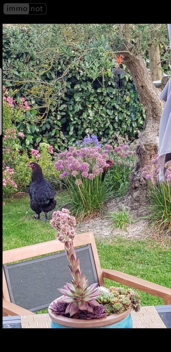 Maison a vendre Beuvrequen 62250 Pas-de-Calais 130 m2 7 pièces 456750 euros