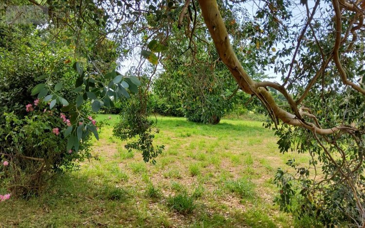 Maison a vendre Trébrivan 22340 Côtes-d'Armor 84 m2 5 pièces 84000 euros