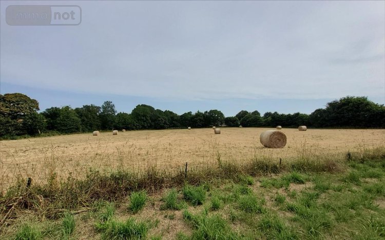 Maison a vendre Trébrivan 22340 Côtes-d'Armor 84 m2 5 pièces 84000 euros