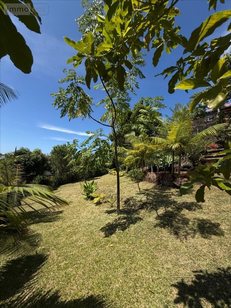 Maison a vendre Petite-Île 97429 Réunion 77 m2 4 pièces 376200 euros