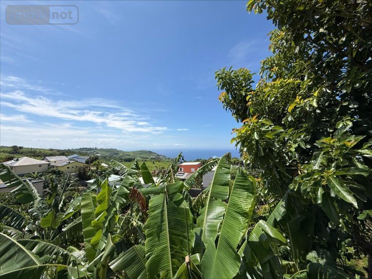 Maison a vendre Petite-Île 97429 Réunion 77 m2 4 pièces 376200 euros
