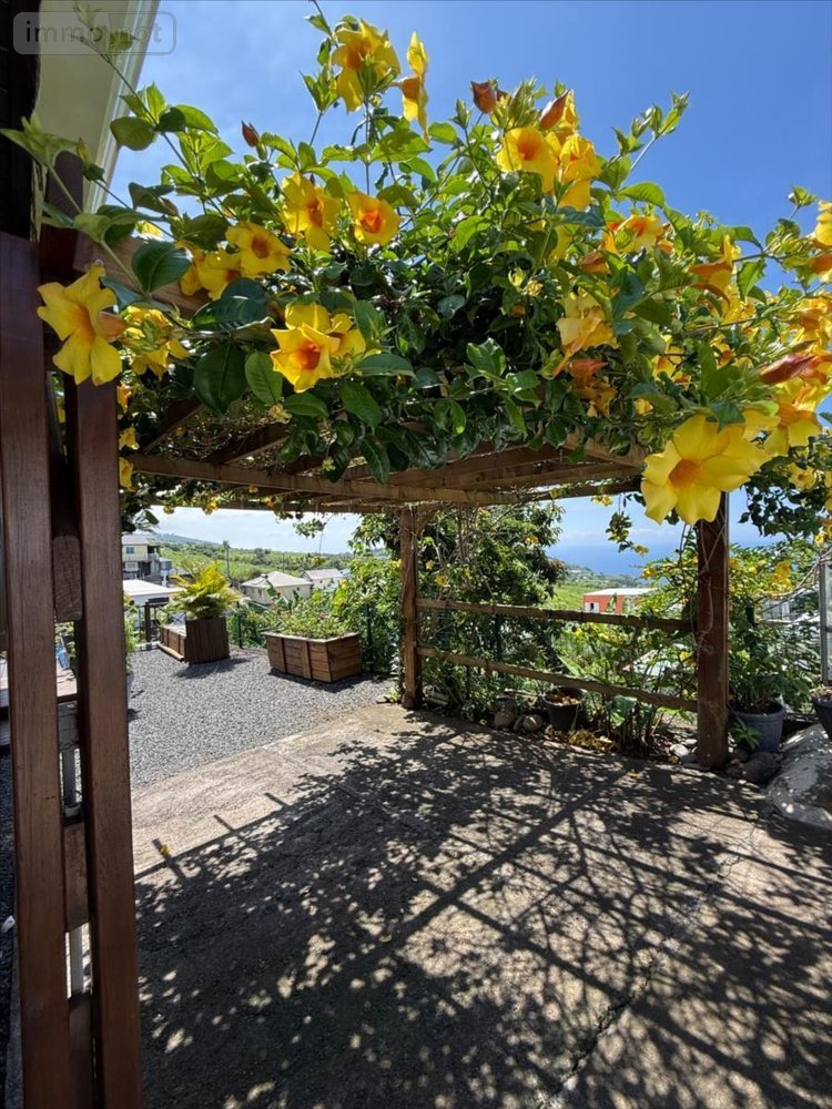 Maison a vendre Petite-Île 97429 Réunion 77 m2 4 pièces 376200 euros