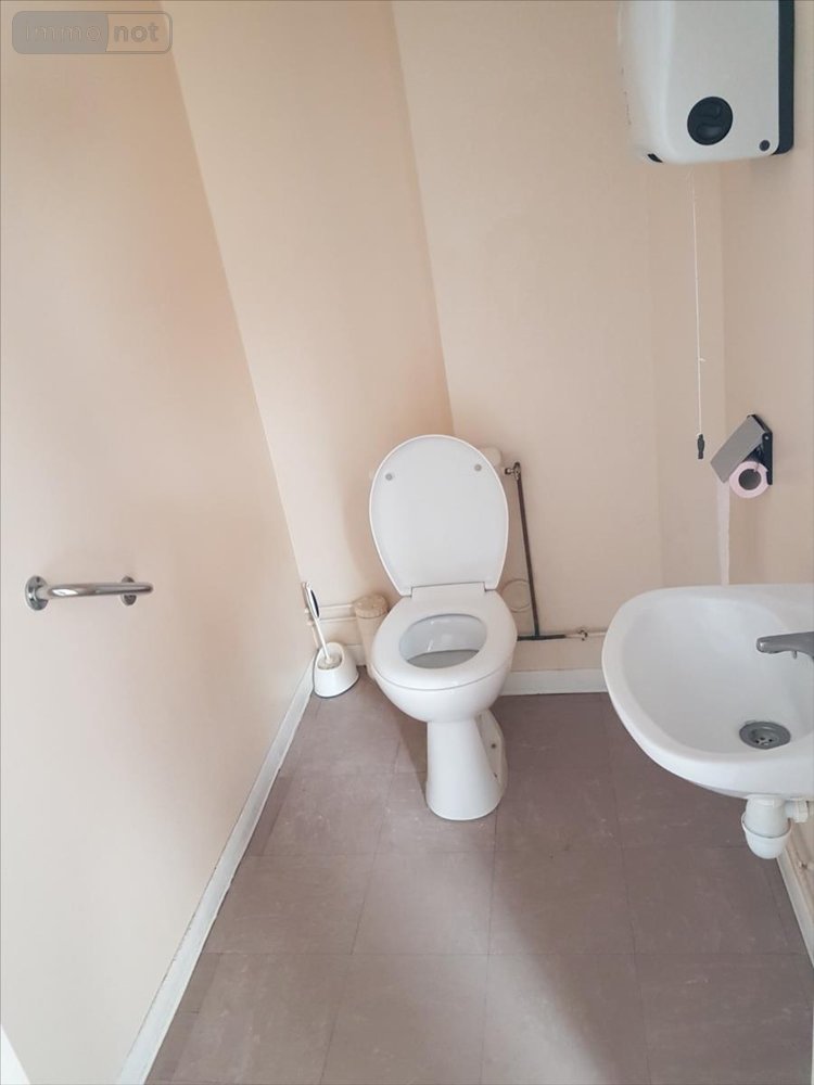 Location fonds et murs commerciaux La Flèche 72200 Sarthe 201 m2  1200 euros