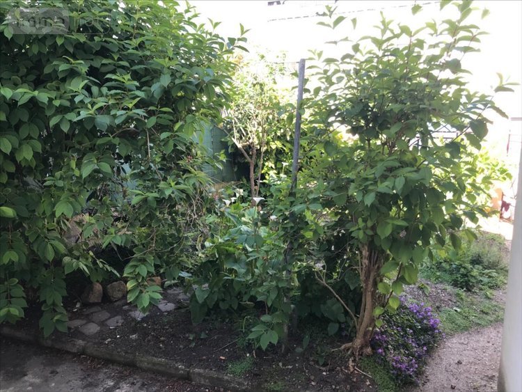 Maison a vendre Port-Louis 56290 Morbihan 45 m2 2 pièces 208000 euros