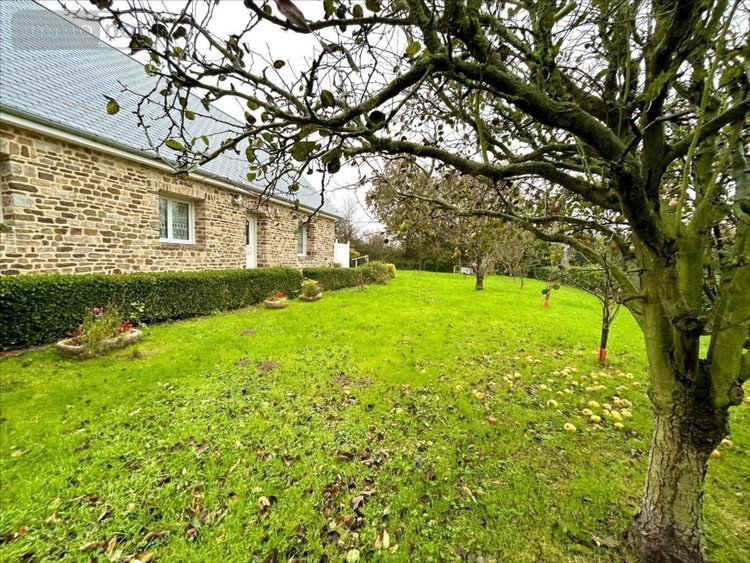 Maison a vendre Besneville 50390 Manche 61 m2 3 pièces 168640 euros