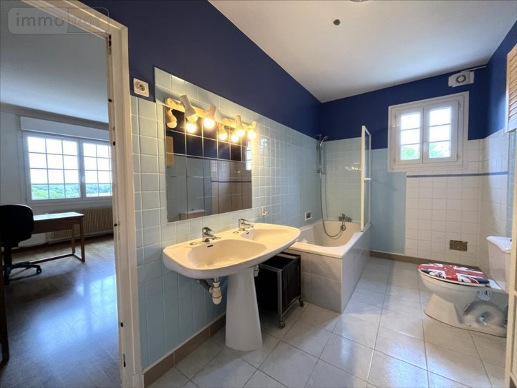 Maison a vendre La Chaussée-Saint-Victor 41260 Loir-et-Cher 240 m2 9 pièces 299000 euros