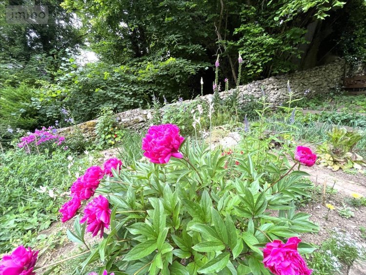 Maison a vendre La Chaussée-Saint-Victor 41260 Loir-et-Cher 240 m2 9 pièces 299000 euros