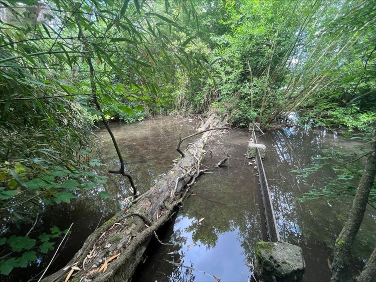 Maison a vendre La Chaussée-Saint-Victor 41260 Loir-et-Cher 240 m2 9 pièces 299000 euros