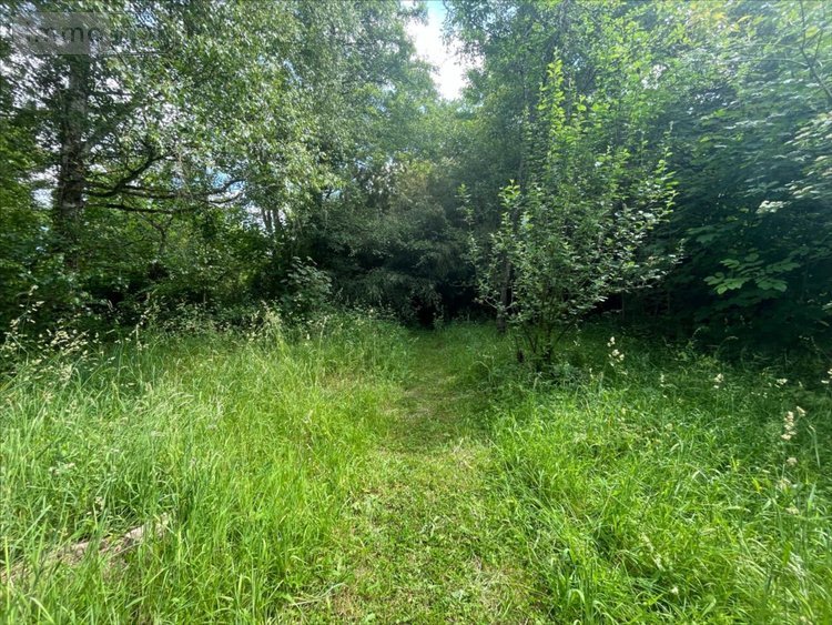 Maison a vendre La Chaussée-Saint-Victor 41260 Loir-et-Cher 240 m2 9 pièces 299000 euros